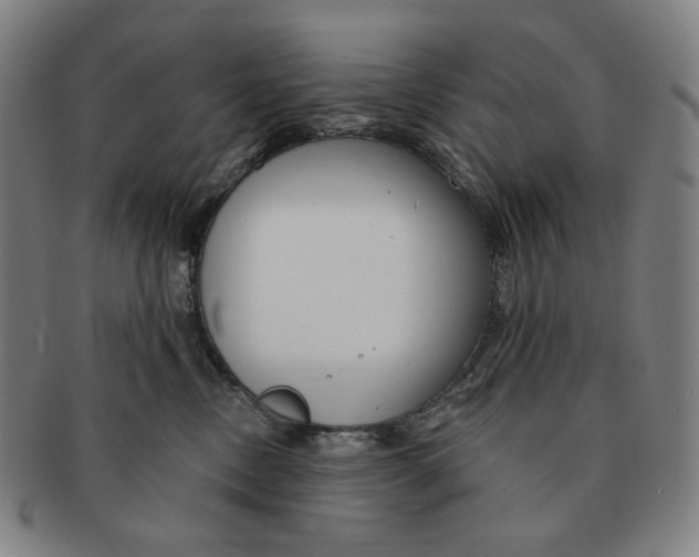 X0000090970378200708301232