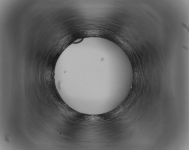 X0000090970379200708301232