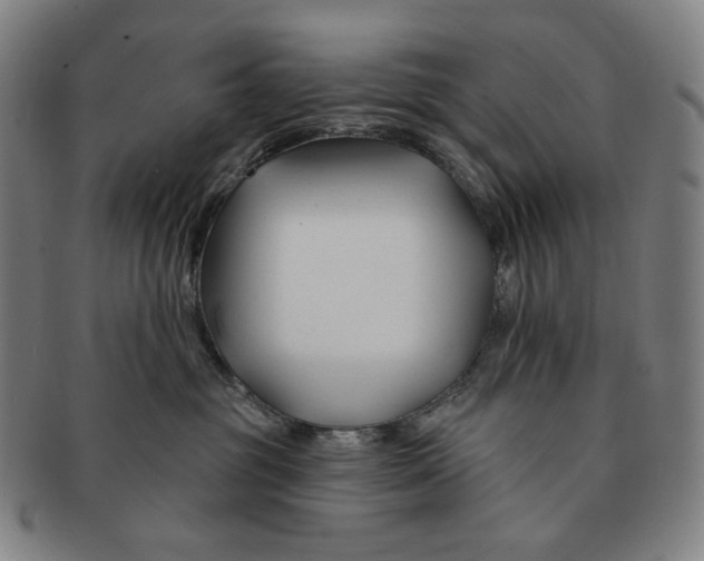 X0000090970381200708301232
