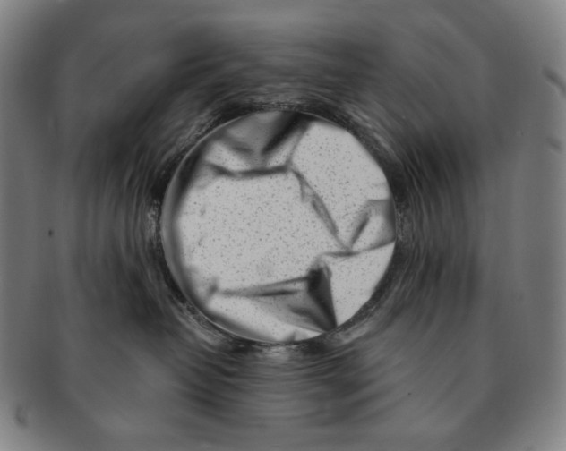 X0000090970382200708301232