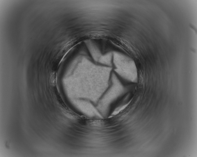 X0000090970383200708301232