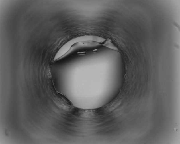 X0000090970384200708301232