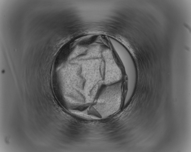 X0000090970385200708301231