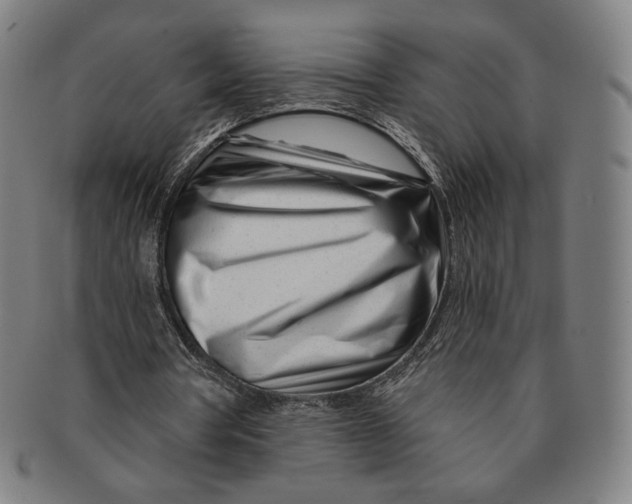 X0000090970386200708301231