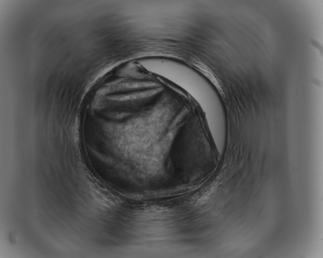 X0000090970387200708301231