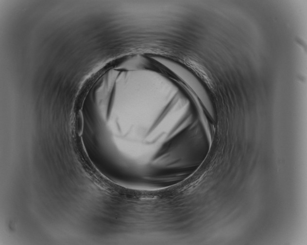 X0000090970388200708301231
