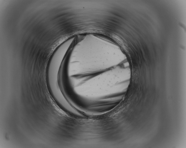 X0000090970389200708301231