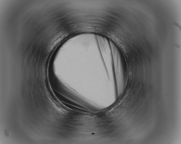 X0000090970390200708301231