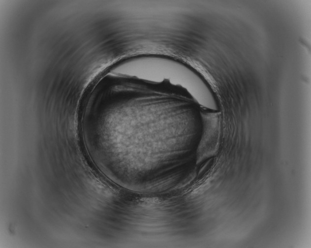 X0000090970391200708301231