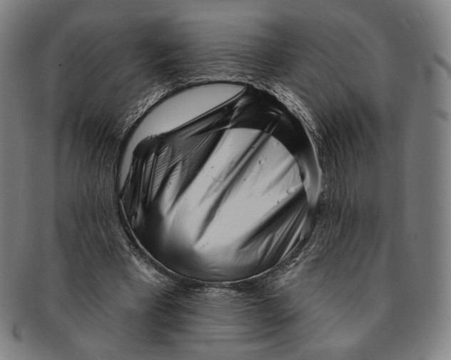 X0000090970393200708301231