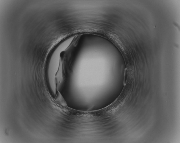 X0000090970395200708301231