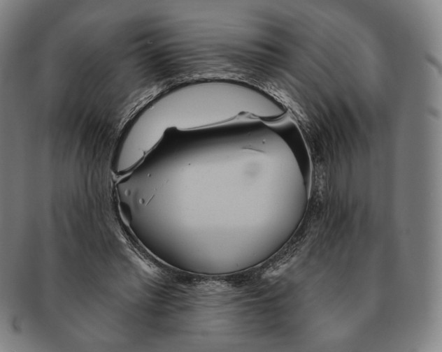 X0000090970397200708301231