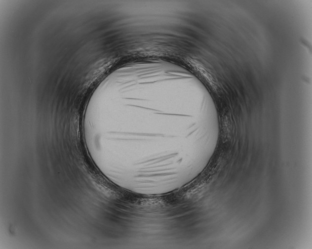 X0000090970398200708301231