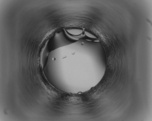 X0000090970400200708301231
