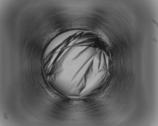 X0000090970401200708301231
