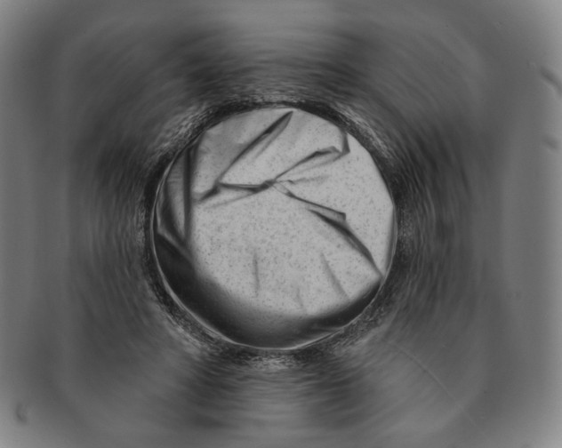 X0000090970402200708301231