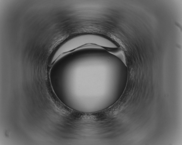 X0000090970403200708301231