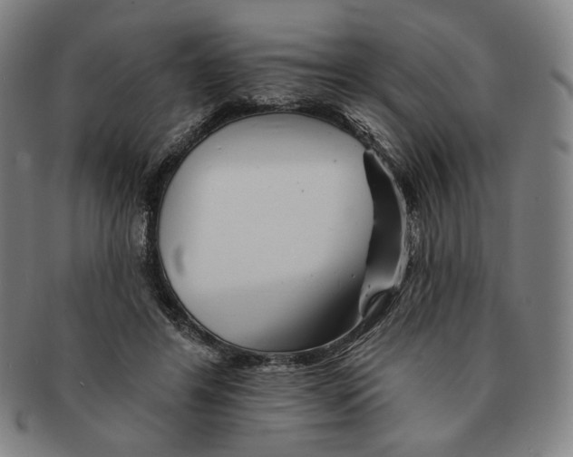 X0000090970404200708301231