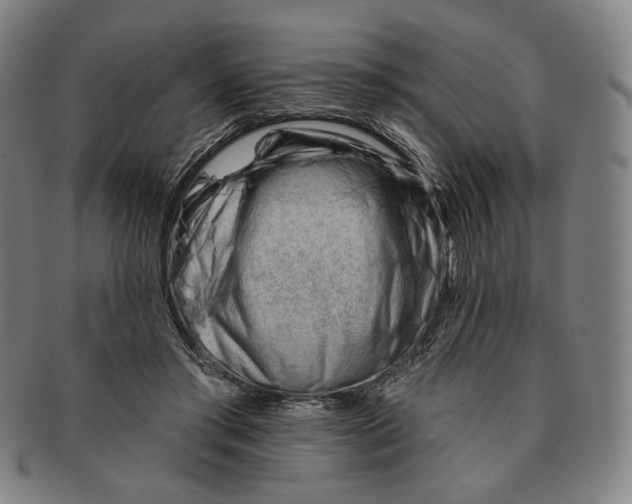 X0000090970405200708301230