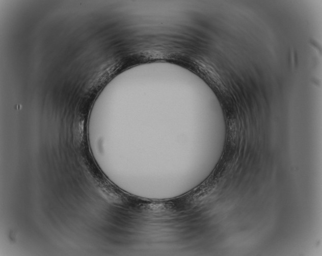X0000090970406200708301230