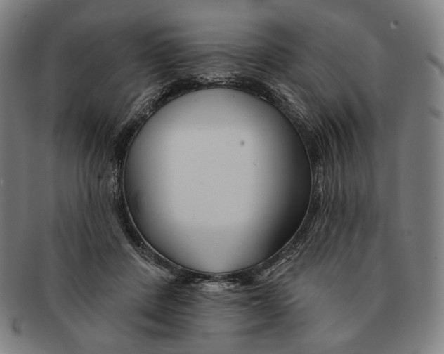 X0000090970408200708301230
