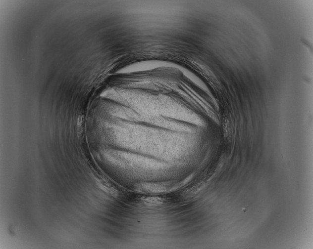 X0000090970409200708301230