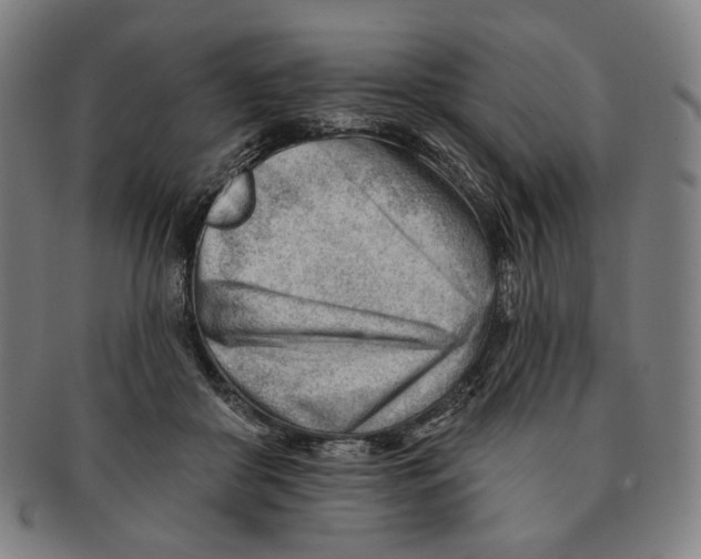 X0000090970410200708301230