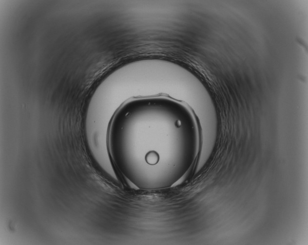 X0000090970411200708301230