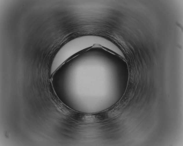 X0000090970413200708301230