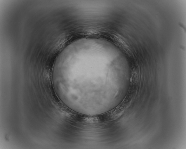 X0000090970415200708301230