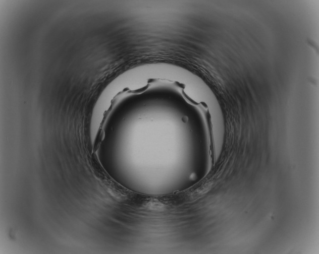 X0000090970416200708301230
