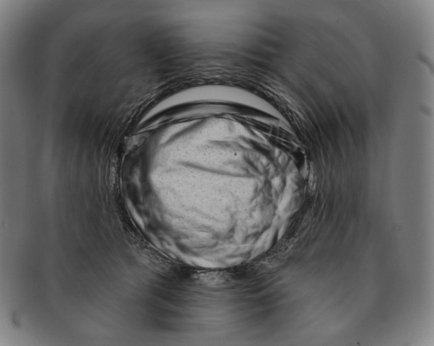 X0000090970417200708301230