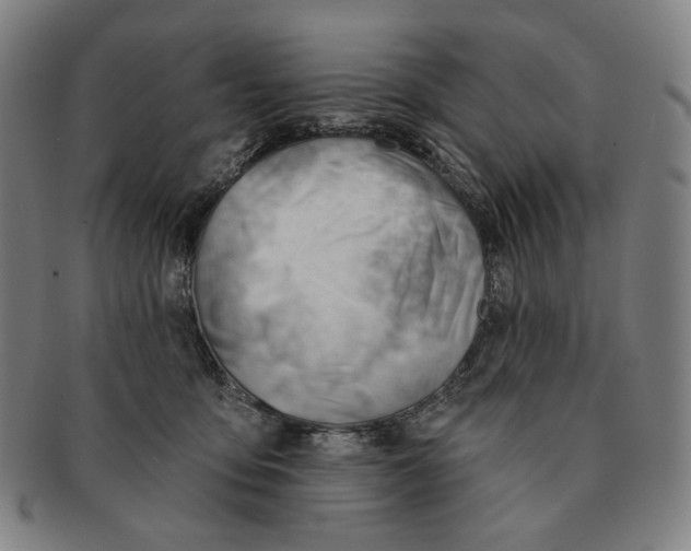 X0000090970419200708301230