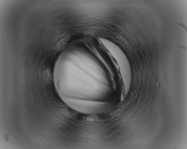 X0000090970420200708301230
