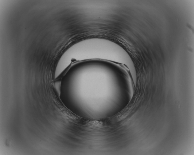 X0000090970421200708301230