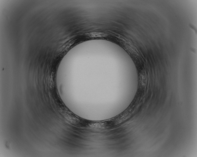 X0000090970422200708301230