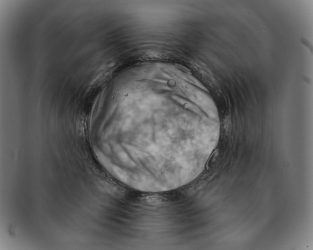 X0000090970423200708301230