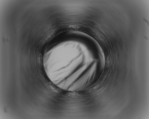 X0000090970424200708301230