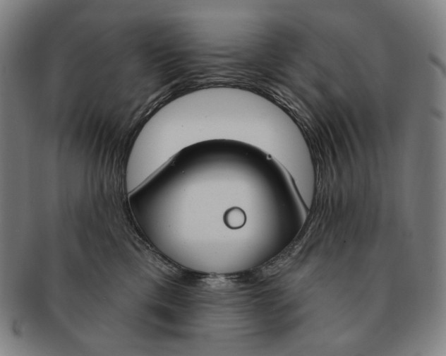 X0000090970425200708301230
