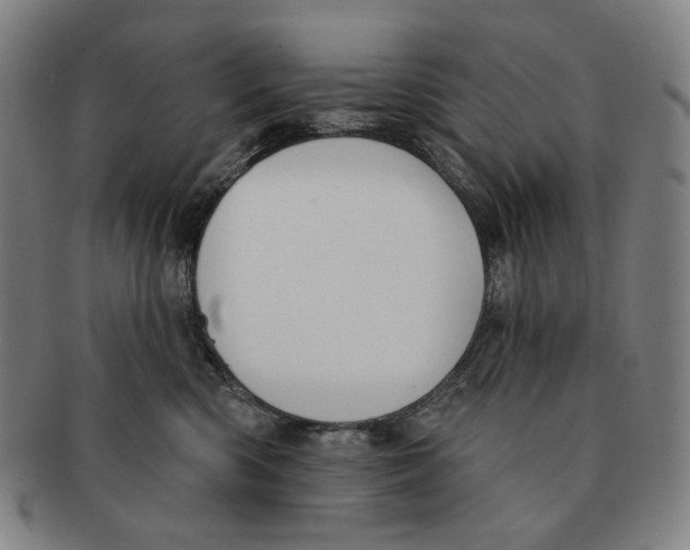 X0000090970426200708301230