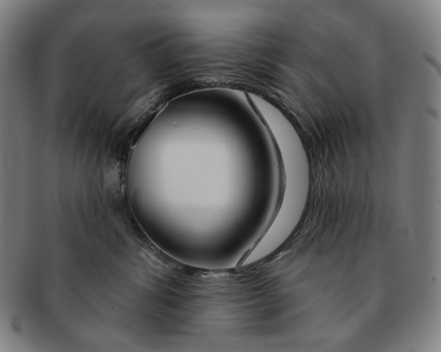 X0000090970428200708301230