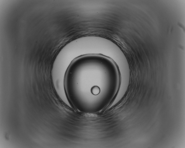 X0000090970429200708301230