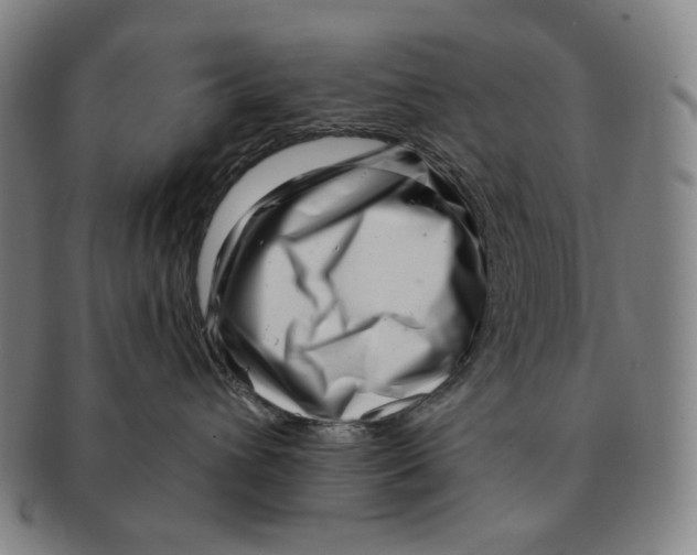X0000090970432200708301230