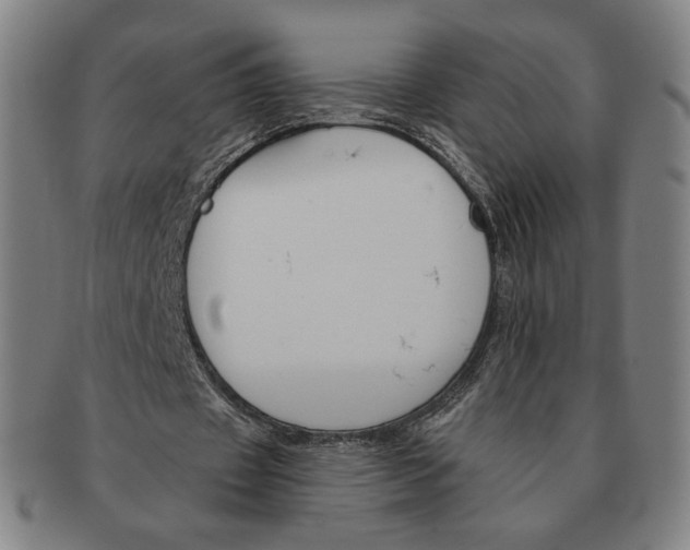 X0000090970433200708301229