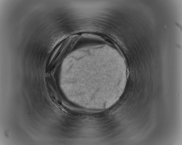 X0000090970434200708301229