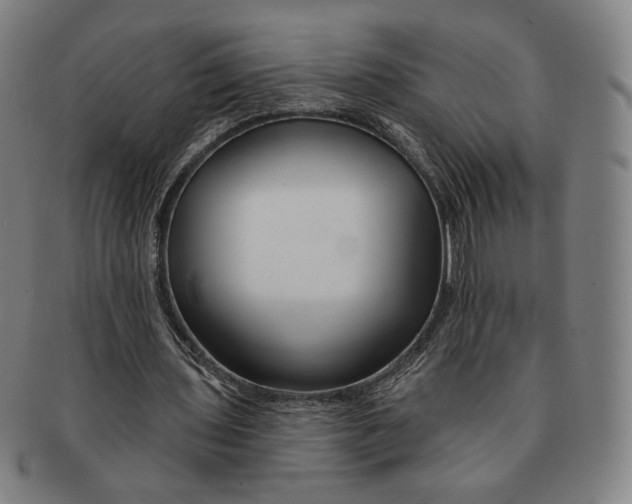 X0000090970435200708301229