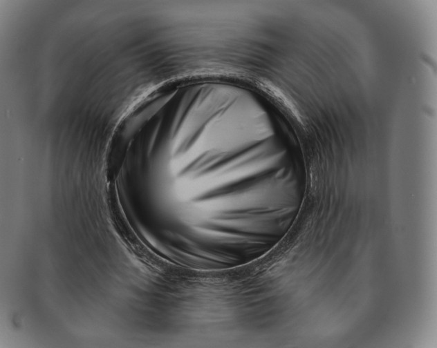 X0000090970436200708301230