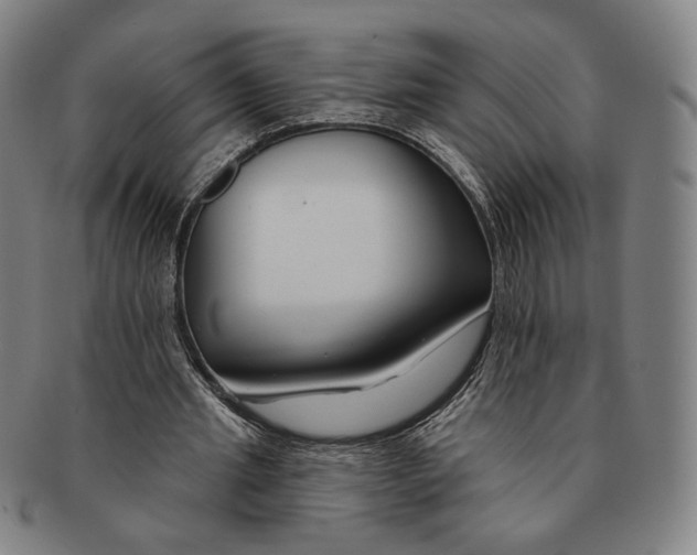 X0000090970437200708301230