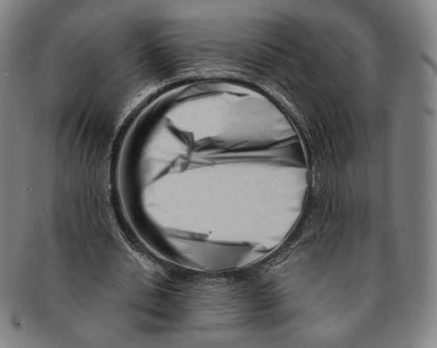 X0000090970438200708301230