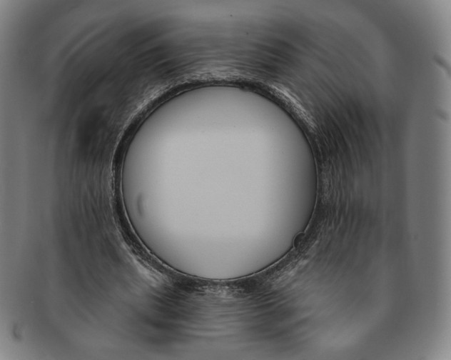 X0000090970439200708301230